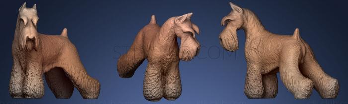 3D model Schnauzer Dog (STL)